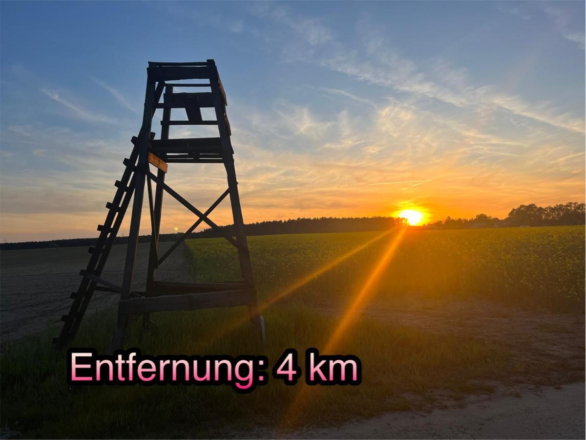 Wormis Bei Luckau