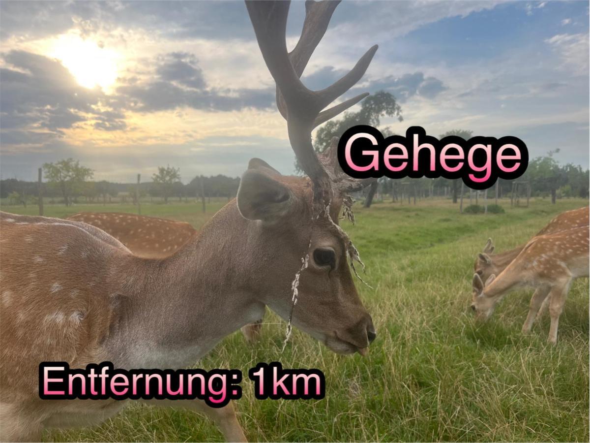 Wormis Bei Luckau * Heideblick